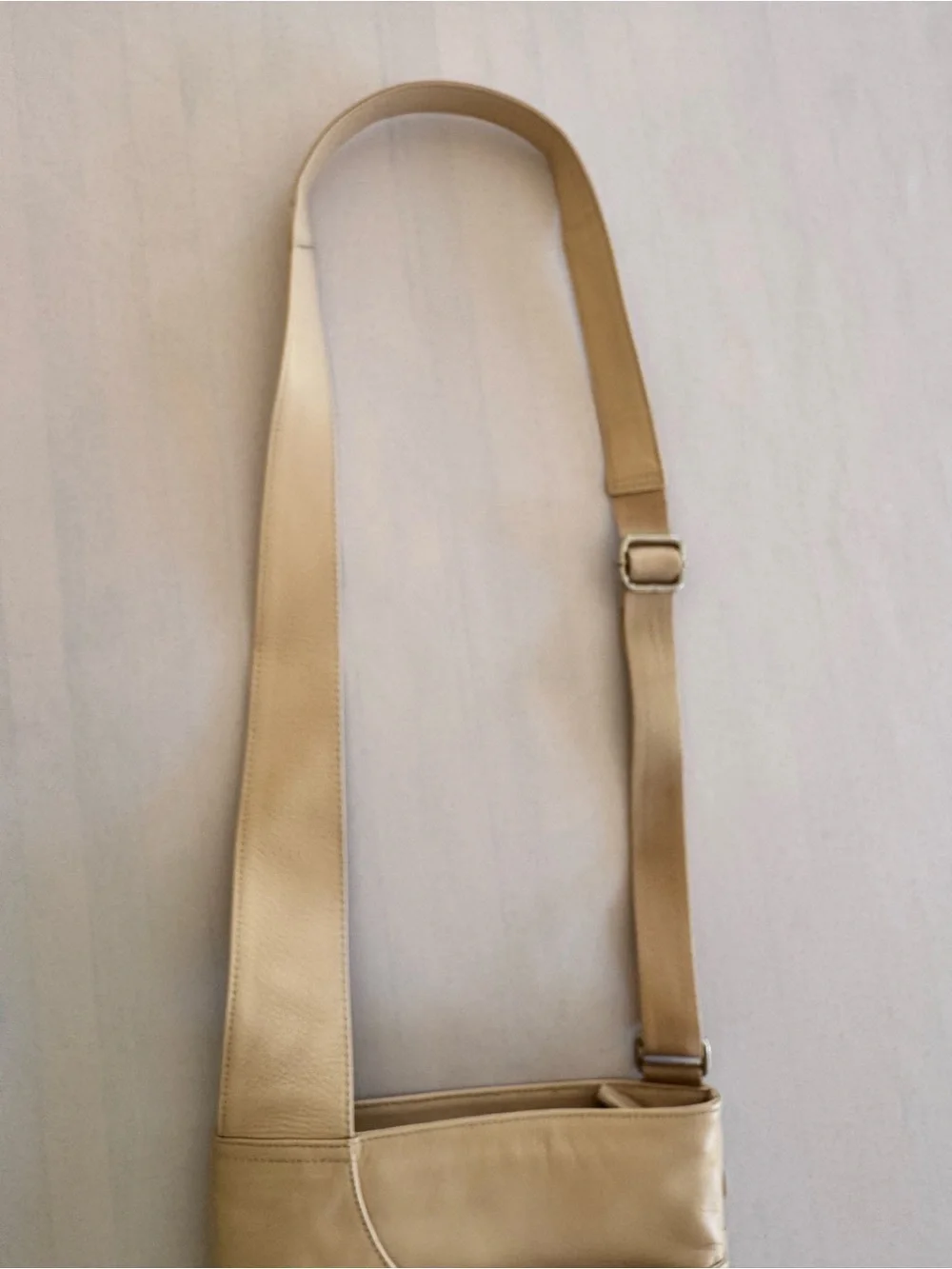 Radley London Iconic Zip-Top Leather Crossbody Pocket Bag in soft pedal pink